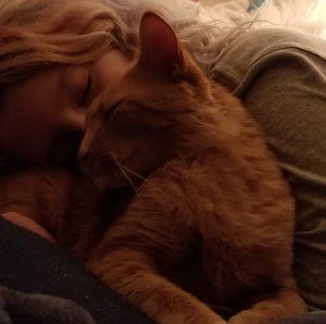 Meet your Posher, Janis